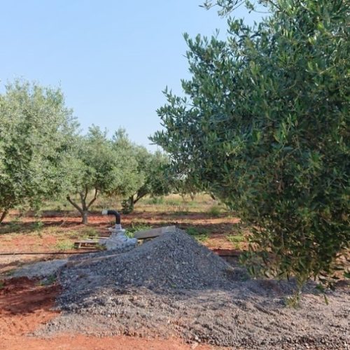 For Sale Agricultural Land Markopoulo 215609