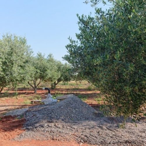 Προς Πώληση Κτήμα στο Μαρκόπουλο 215609