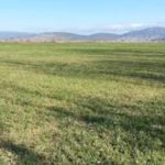 For Sale Agricultural Land Ampelochori 215044