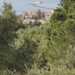 For Sale Land Plot Zakynthos 215612