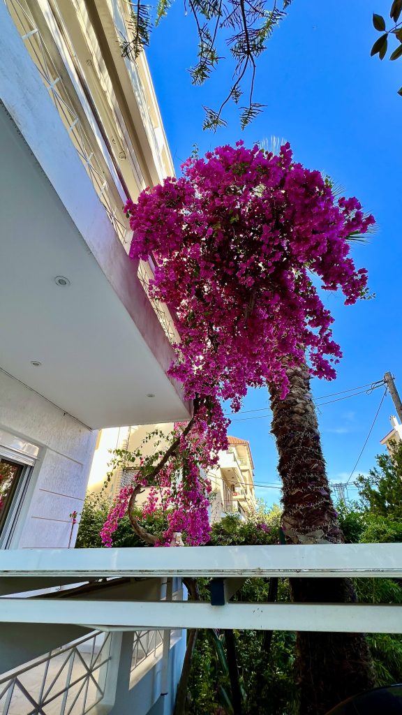 Apartment For Rent in Glyfada 940281
